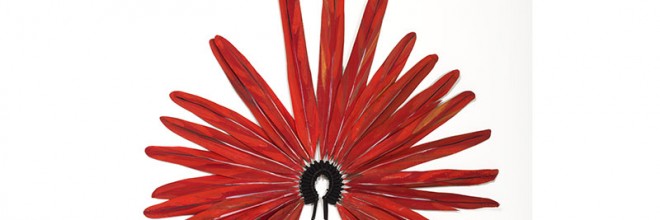 Exposition « Feathers impressions du Brésil » à la galerie Isabelle de Borchgrave